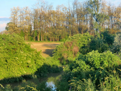 In Bicicletta Lungo il Fiume Po